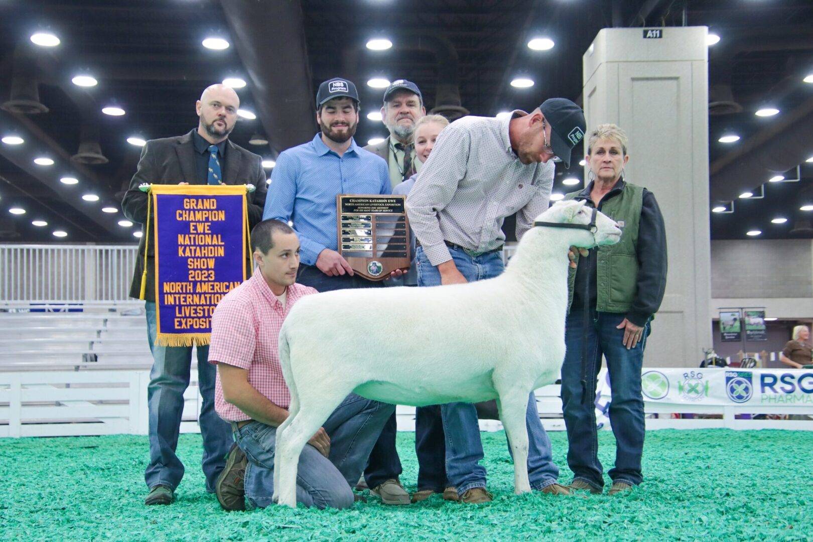 Show & Sale Results